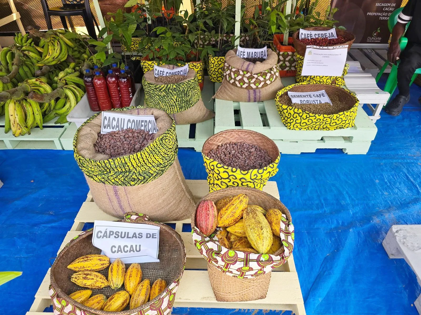 Exposição de produtos locais de Cabinda